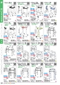 福祉用具販売カタログ あいであい Vol.42-1