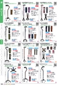 福祉用具販売カタログ あいであい Vol.42-1