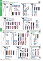 福祉用具販売カタログ あいであい Vol.42-1